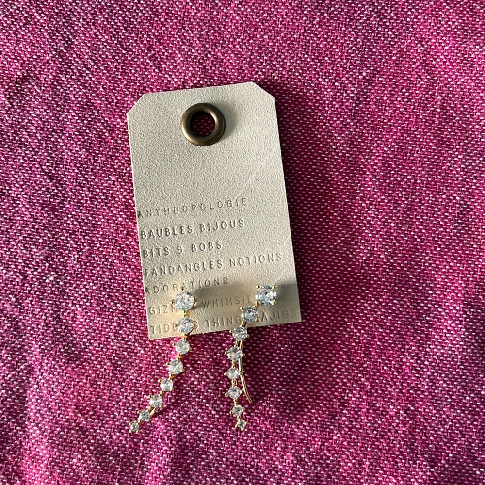 Anthropologie earrings
